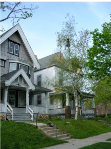 My "in-progress" Abused Victorian. The new owners have given it a major-league facelift. It does not look like this any more. That's Sweetheart up in the birch, giving it a haircut. (He's a professional. Don't try this on your own.)